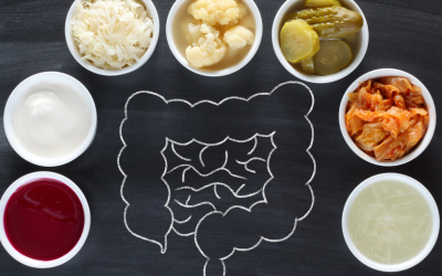 Fermenti lattici: gli alleati in viaggio