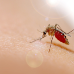Come proteggere la pelle dal caldo e dagli insetti