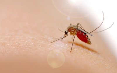 Come proteggere la pelle dal caldo e dagli insetti