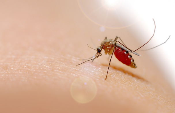 Come proteggere la pelle dal caldo e dagli insetti