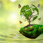 Giornata Mondiale dell’Ambiente