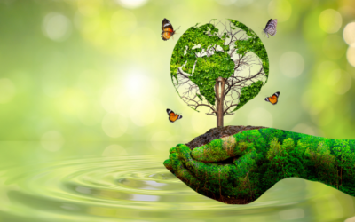 Giornata Mondiale dell’Ambiente