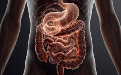 Intestino secondo cervello: come influisce su umore e benessere