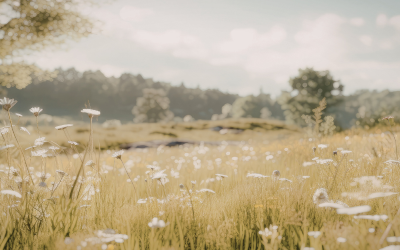 Benessere in primavera: i consigli della tua farmacia