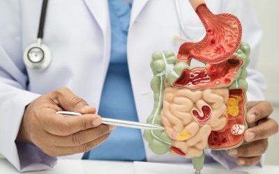 Come il cambio di stagione influenza il tuo benessere digestivo?