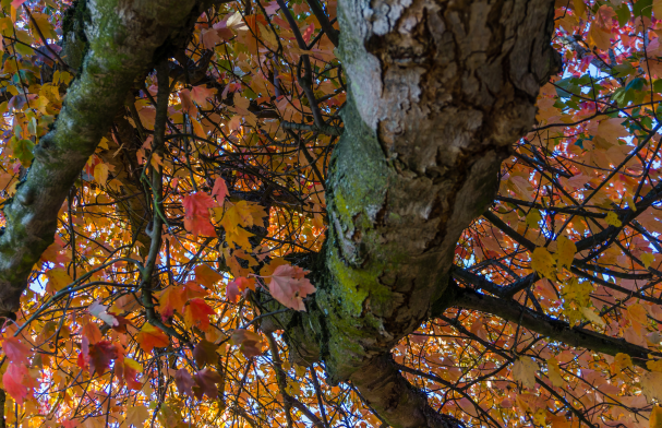 Cambio di stagione: come affrontare l’autunno